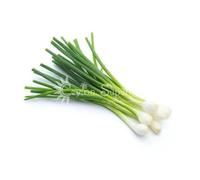 Ceylon Supermart Fresh Spring Onions Bunch, Each