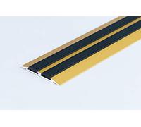 Cezar Aluminium Flat Threshold Carpet Door 45mm - Gold - Screw-Fix Anti-Slip Insert 1m (39.37") Length LPPSZG TMW Profiles (Gold)