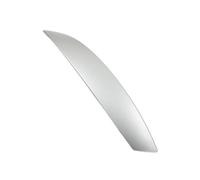 CFCKHPTHAZ Interior Door Pull Handle Cover Trim for Z4 E85 E86 2002 2003 2004 2005 2006 2007 2008 LHD RHD Left Right(Matt Silver Right)