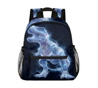 cfpolar Kids Backpacks for Boys, Toddler Backpack Preschool Kindergarten Elementary, B-animal Lightning Dinosaur, M