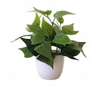 cfpqv Artificial Plants in Pot, Artificial Plants in Pot, Green Bonsai with White Round Pot for Office, Home, Kitchen, Table, Interior Decoration Bathroom Window Curtains (Green, One Size)