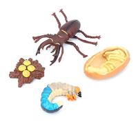 CFTGIW Animals Growth Cycle Life Cycle Model Learning Teaching Model Toy for #3 and Convenient Reusable See Us Animals Growth ModeLife ModelAnimal ToyChildren (#3)