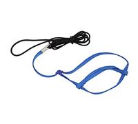 CFTGIW Harness Leash Bird Flying Harness Traction Rope with Hook for Birds ParrotsRoyalblue XL Elastic Rope It a Ma LeashBird Flying Training RopeBird Traction (L)