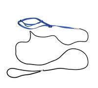 CFTGIW Harness Leash Bird Flying Harness Traction Rope with Hook for Birds ParrotsRoyalblue XL Elastic Rope It a Ma LeashBird Flying Training RopeBird Traction (XL)