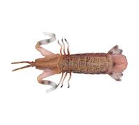 CFTGIW Mantis Shrimp MODEL Solid Vivid Simulation Shrimp MODEL for Children Toy Education Understanding Love of Nature REALISTIC Help Mantis EDUCATIONAL Understand Can Shape