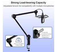 CFTGIW Microphone Stand Desktop Folding Cantilever Bracket Live Singing Microphone Bracket -shake -vibration Desktop Boom Arm StandDesktop