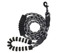 CFTGIW Reflective Pet Pulling Le Rope for Medium Large Dogs Running Walking TrainingBlack Pet LeashDog LeashDog Traction RopeReflective RopeDog Supplies From Nylon Premium (Black)