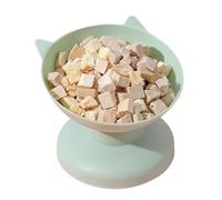 CFTGIW Tall Cat Bowl Raised Oblique Mouth Prevent Tumble TILTED Elevated Cat Food Feeding Bowl for Small and Medium Dogs Green the Spine Comfortably Cervical By TILTED Tall (Green)