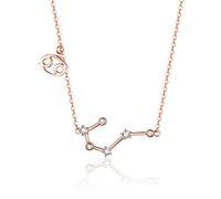 CFWSHJ 925 Sterling Silver Crystal Taurus Capricorn Scorpio Twelve Constellation Pendant Necklaces Women Wedding Jewelry