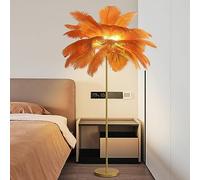 CFWSHJ Feather Lamp Ostrich Feathers Lampshade LED Standing for Living Room Lights Teen Girls Floor Lamps with G4