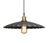 CFWSHJ Nordic Industrial Style Metal Pendant Light, E27 Base Single Head Chandelier, Flush Mount Ceiling Pendant Lamp, Restaurant Bar Farmhouse Decoration Lights