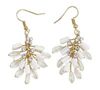 CFWSHJ Pendant Elegant Dangler Earrings Eardrop for Christmas Birthday Anniversary Mother's Day Valentines Day