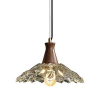 CFWSHJ Vintage Pendant, Farmhouse Schoolhouse Hanging Light Fixture with Adjustable Height, Clear Glass Shade,1-Light Chandelier for Kitchen Sink Dining Room