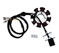 CG-125-8 AC Stator Coil Compatible With CG125-8 Compatible With CG 125-8 150 Cc 250 Cc Engine Motocross 8 Pole Coil AC Magneto Stator Motorcy