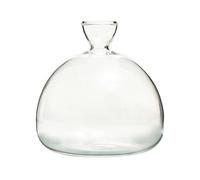 CGACCSD Rearing Jar for Avocado, Transparent Avocado Seed Planter Vase, Avocado Tree Propagation, Germination Glass, Clear Hydroponic Vase, Rearing Kit for Seeds, Seeds,