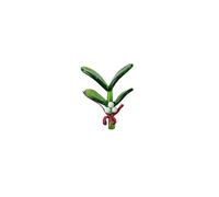 CGB Giftware | Artisan Glass Mistletoe | Keepsake | Collectable | Gift Box | Ornament | GB07871