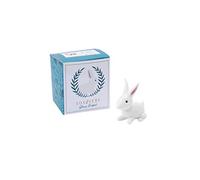 CGB Giftware | Fox and Fern Glass Ornament Rabbit Decoration in Gift Box | Fox and Fern's Range | Glass Animal | GB05450