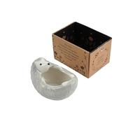 CGB Giftware | Send with Love Hedgehog Trinket Bowl in Gift Box | Jewellery Organiser | Gift for Her and Home | Homeware | Home Decor | GB08181