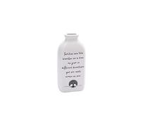 CGB Giftware Sent & Meant 'Families are Like Branches on a Tree' Gifting Bud Planter Flower Vase Decorative Piece from GB04580