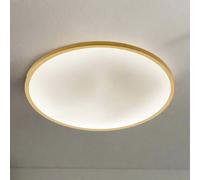 CGC Interiors Cgc Tula Gold Trim Led Surface Mount Ceiling Light Bulkhead Ip44 White Opal 4000K