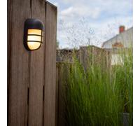 CGC Lighting Cgc Asher Dark Grey Oval Cage Outdoor Led Wall Light