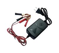 CGEAMDY 12V Sealed Lead Acid Battery Charger, 1000MA SLA Charger Adapter, Short Circuit Protection and LED Indicator Light, Automotive Accessories for Car, SUV, Tractor, Motorcycle