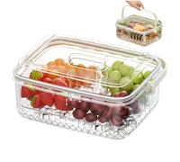 CGTQROVR Chilled Serving Tray, Food Grade 4 Compartments Fruit Tray with Lid, Large Capacity Clear Serving Platter with Handle ideal for Fruits, Vegetables and Appetizers