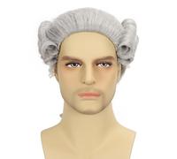 CGVG Grey Baroque Wig for Men Long Curly Noble Wig with Ringlets Renaissance Colonial Historical Judge Lord Prince Duke Victorian Rococo Vampire Wig for Halloween Cosplay (Grey)