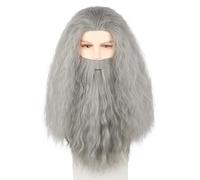 CGVG Men's Long Curly Grey Wig with Beard Wizard Wig Fake Beard Magician Prophet Sorcerer Wig for Halloween Carnival Costume Cosplay (Grey)