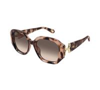 Ch0236S 005 Sunglasses - female - Chloé - Sunglasses - Brown - 56 MM - Accessories 56 MM