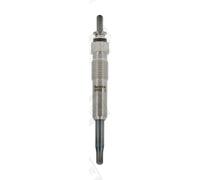 CH169 CHAMPION Glow Plug for ,CARBODIES,HONDA,LAND ROVER,MG,RENAULT,ROVER,VOLVO