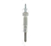 CH242 CHAMPION Glow Plug for FORD,FORD AUSTRALIA,KIA,MAZDA,SUZUKI