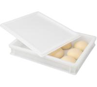 Chabrias Ltd Pizza Dough Proofing Box 12L with Lid - Food Grade Stackable Dough Tray - 44.5 × 31.5 × 8.5 cm (Gastronorm 2/3 Footprint) - Cold Fermentation Container