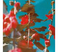 Chad Lawson – Breathe – CD – 2022