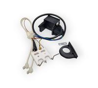CHAFFOTEAUX ARISTON IGNITER NAC + ELECTRODE 65104653 EX 60000810 BOILER