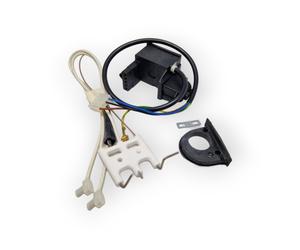 CHAFFOTEAUX ARISTON IGNITER NAC + ELECTRODE 65104653 EX 60000810 BOILER