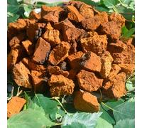 Chaga Mushroom Chunks Dried 900 g. Chopped up to 3-5 cm. Wild Grown. for infusions and decoctions