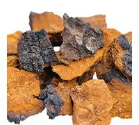 Chaga Vital Large Chaga Mushroom Chunks - Naturally Grown in Lapland (Finland) - 25 Gram (6 Weeks’ Treatment)