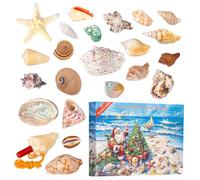 Chaies Advent Calendar - 24 Day Countdown Calendar | Educational Science Shells Template for Family Daily Activity Teen Adults