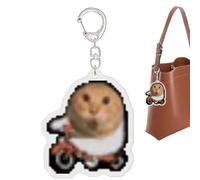 Chaies Cat Keychain | Strange Round Head Acrylic Key Ring for Men Office Home Travel School Parties Birthday, Bike Cat, Se référer au descriptif