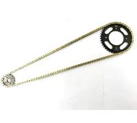 Chain and Sprocket Set Compatible with Honda CBF 125 2009-2014 models GOLD & BLACK