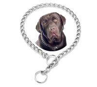 Chain Choker Collar For Dogs, Silver XL Metal Slip Link Training Heavy Duty Dog Choke Collar Martingale Puppy Collars For Small Medium Large Big XL Breed Dogs