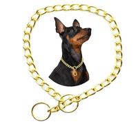 Chain Collar For Dogs, Golden XL Metal Slip Link Training Heavy Duty Dog Collar Martingale Puppy Collars For Small Medium Large Big XL Breed Dogs