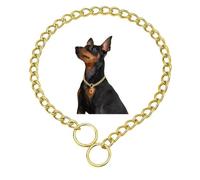 Chain Collars for Large Dogs, Heavy Chain, Metal Training Collars, Adjustable Metal Chain, Martingale Puppy Collars for XXS, XS, S, M, L, XL, Silver, L