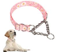 Chain Dog Collar, Heavy Duty Martingale Collar For Dogs Chew Proof, Adjustable For Training, Walking With Stainless Steel for Medium Large Breed Dogs