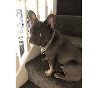 Chain Dog Collar Strong Chrome 2 & 3 Rows Slip Semi-Check Strong Half Check Dog Choker Chain Training Collar (2 Rows, 45cm (17.5in))