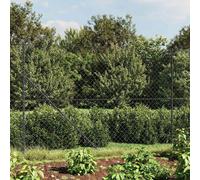 (anthracite, 2.2 x 25 m) vidaXL Chain Link Fence Outdoor Wire Mesh Fence with Spike Fence Panel Anchors