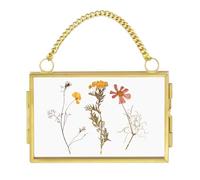 Chain Picture Frame - Hanging Glass Display, Small Metal Photo Holder with 2x3 Inch Panel | Decorative Wall Frame with Chain for Pressed Flowers, Artwork, Small Prints, and Home Gallery Arrangement