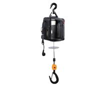 Chain Ratchet 220V Portable Mini Electric Hoist Remote Control Lifting Machine Heavy Duty Micro Winch Small Crane engine crane(Black 100kg Load)