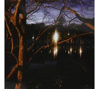 Chain Reaction At Dusk [VINYL]